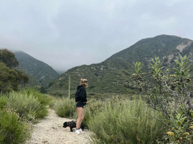 ALLIEBEARX free sexy photo