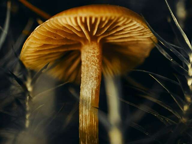 MRSNOBODY free sexy photo
